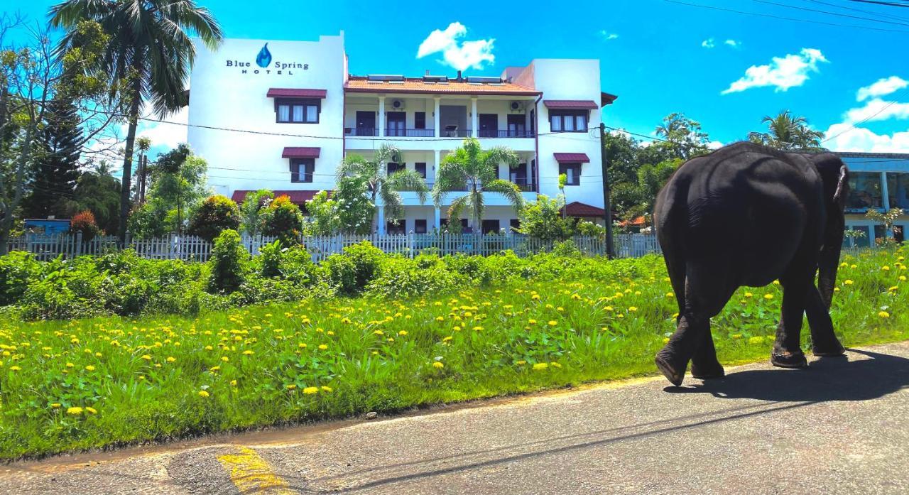 Blue Spring Hotel Wadduwa Eksteriør bilde